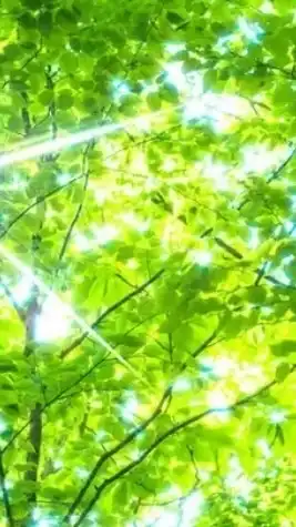 🌳木漏れ日みたいな優しいお部屋🌳