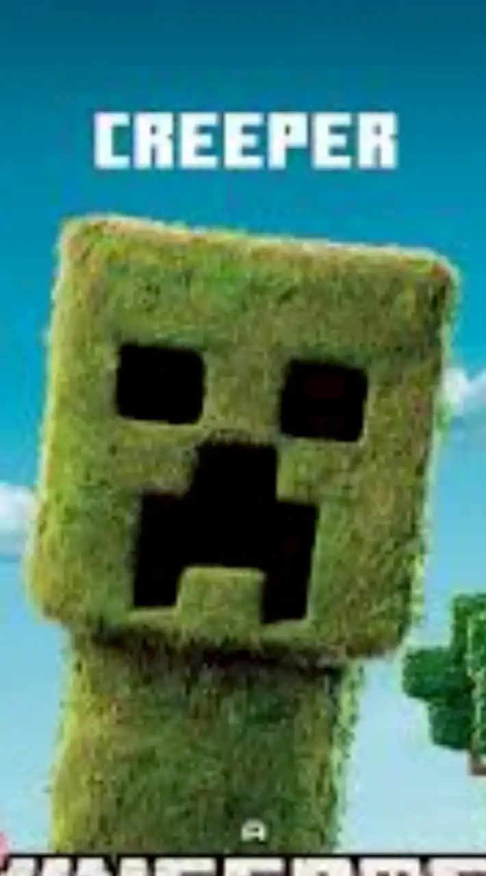 真・マイクラ活動部Neo