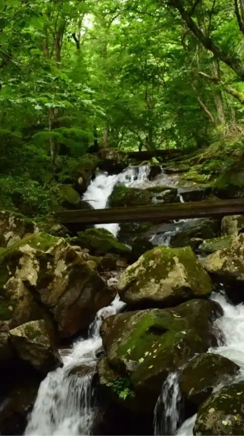 【岐阜】関市と山県市を語ろう