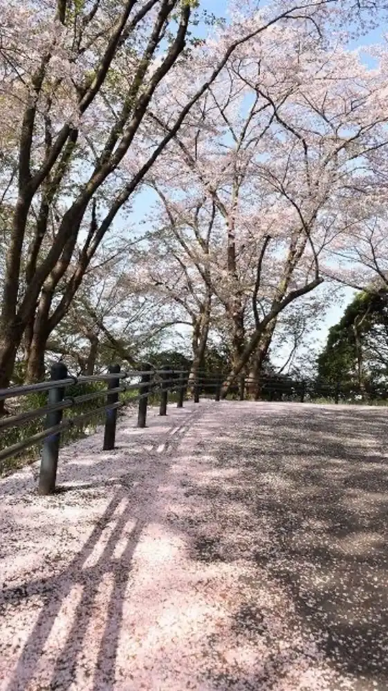 話し相手募集︎^_^50代60代