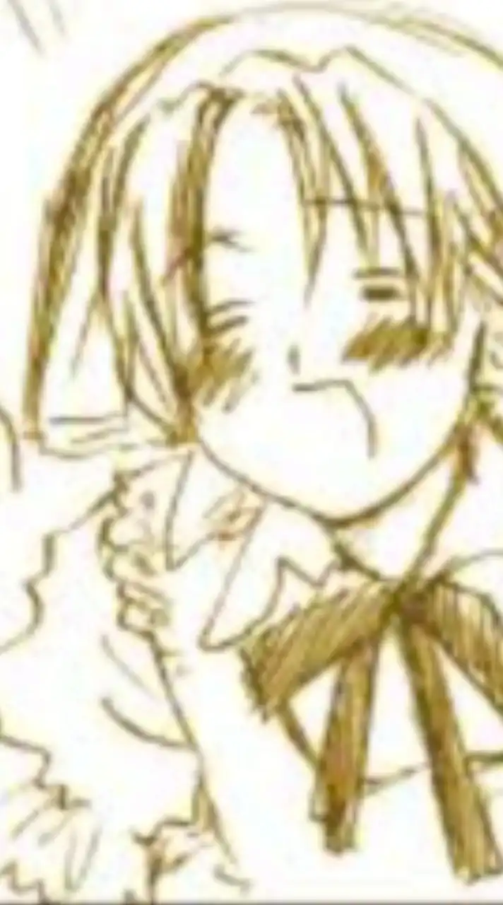 【APH】週一で仮カプ⁉️💋💗アハンでウフフなヘタリアハント激緩也‼️‼️😆✨️