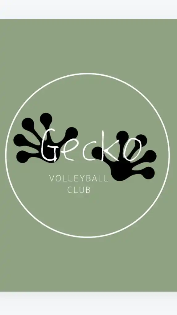 Gecko volleyball（243cm）