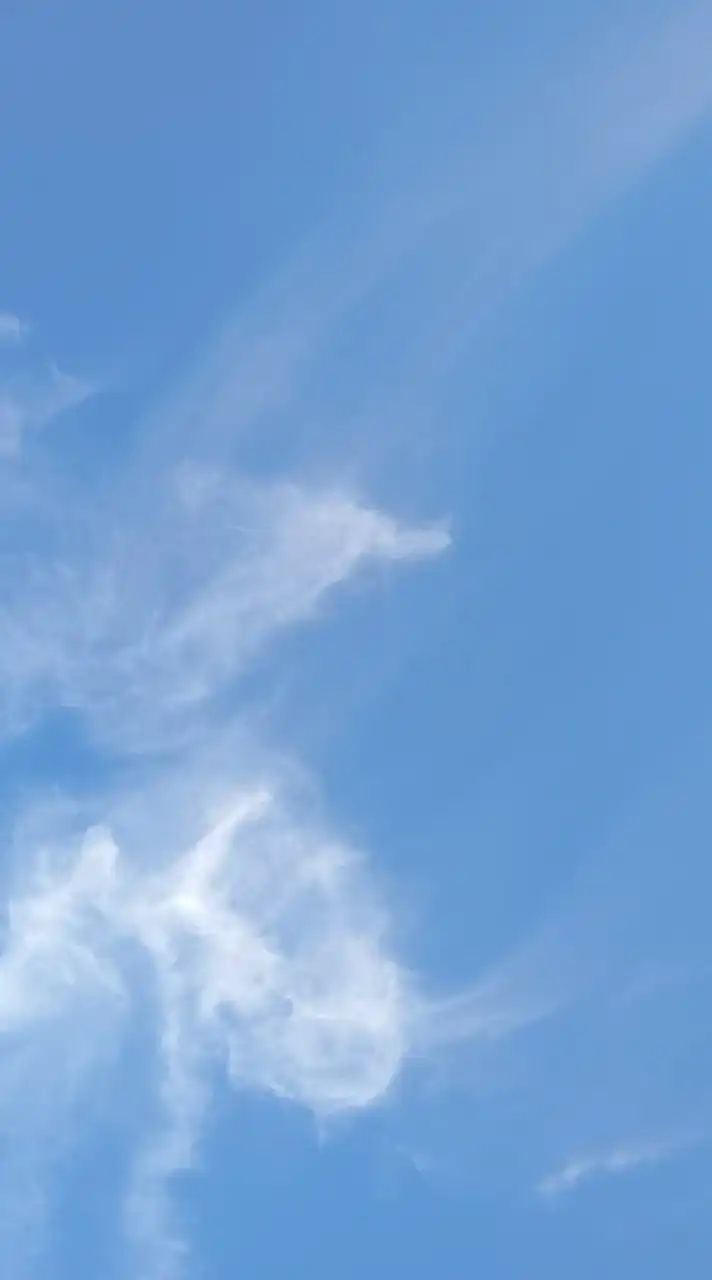 ❦~垢抜けオプチャ~❦