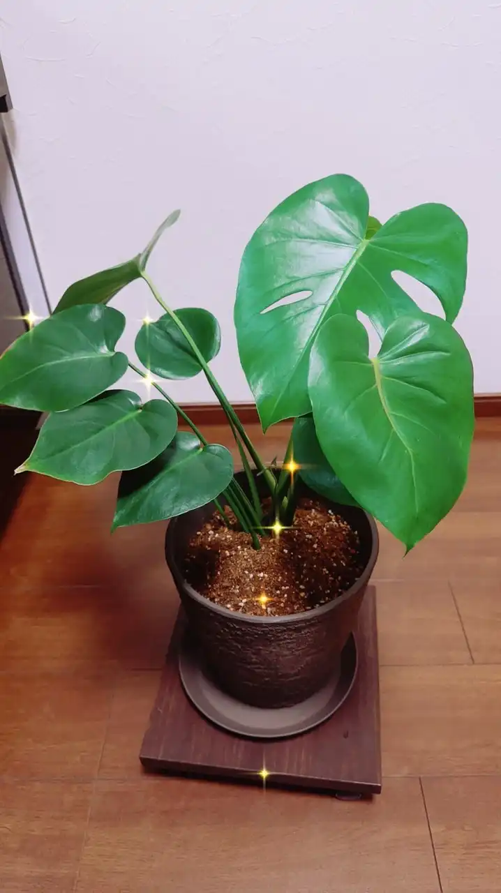 何でも相談できる場所