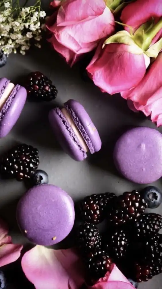 ♬.*ﾟ🌈即承認❁⃘*.ﾟおとなの恋花 おとなの癒しラウンジ❁⃘*.ﾟꕀ⋆その先へ🚪