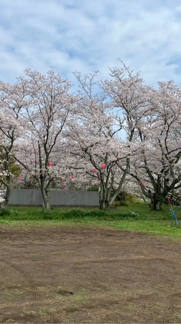 精神疾患のライブトーク部屋🚫未成年お断り