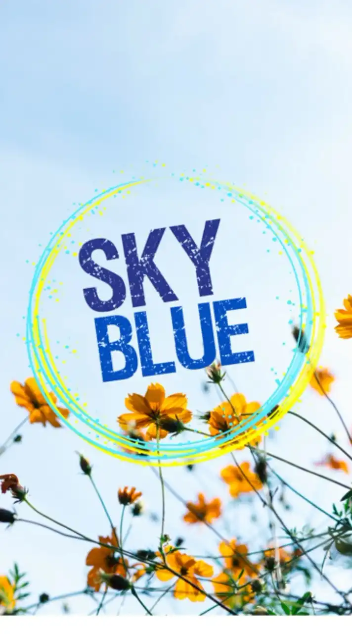 SKYBLUE【アヴァベル】