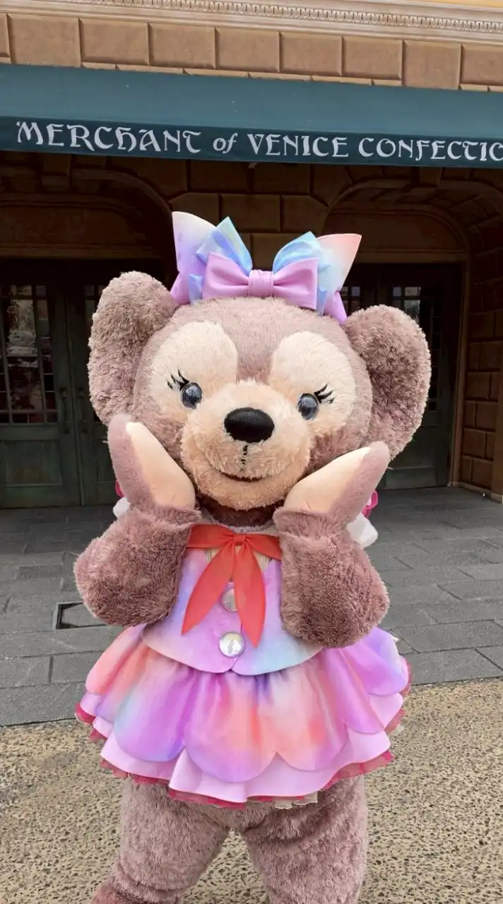 ⭐ディズニー大好き⭐女性限定⭐40代以上⭐5/29(木)オプチャが突然消えた方見つけて欲しい⭐