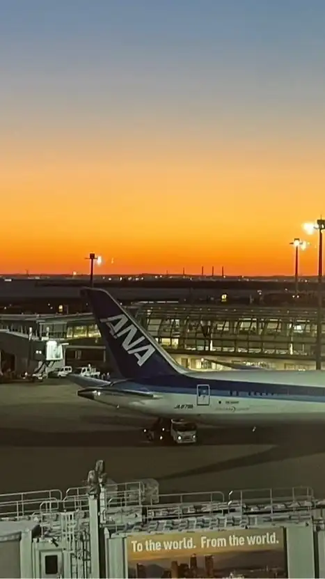 【26卒】✈️ANAエアポートサービス志望者✈️ANA AS