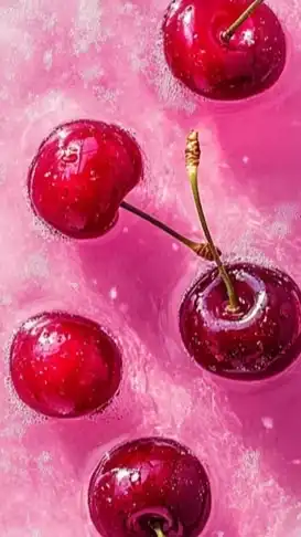 🍒楽しくて居心地の良い場所🍒