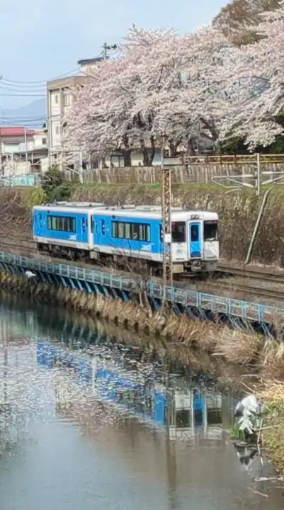鉄道好き同士の交流の場　スジ公開や写真公開など