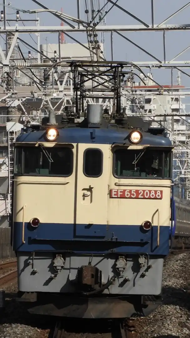 スジ公開・スジ交換・即上げ