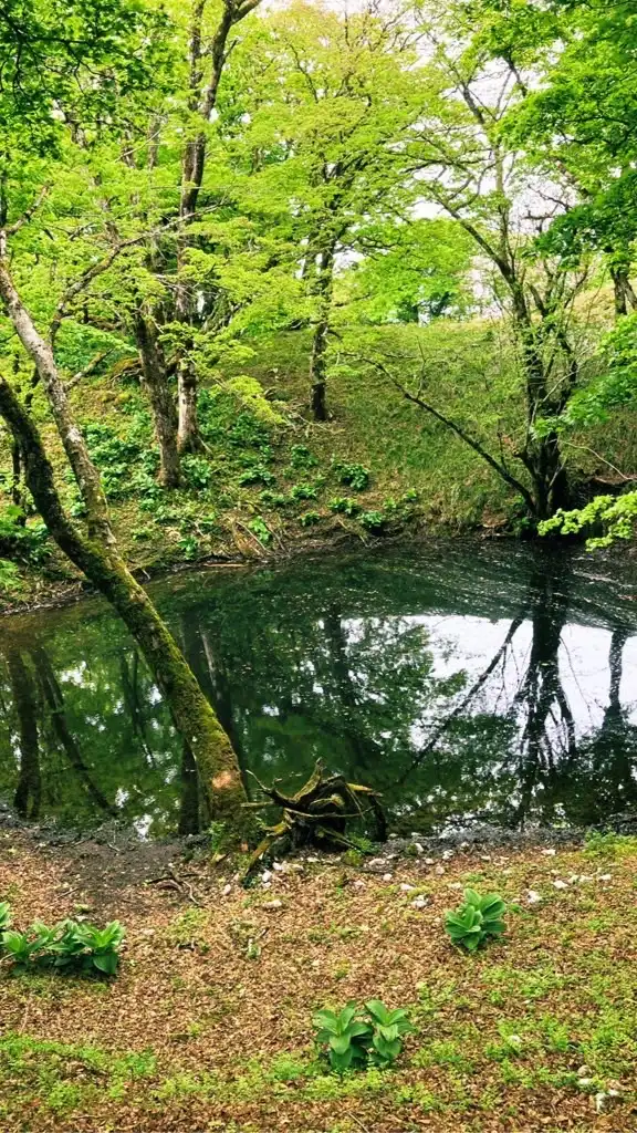 登山スタイル岐阜🆕