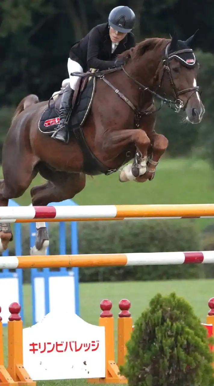 JapanOpen2025年度&TSUMAGOI DRESSAGE 【選手・関係者用】