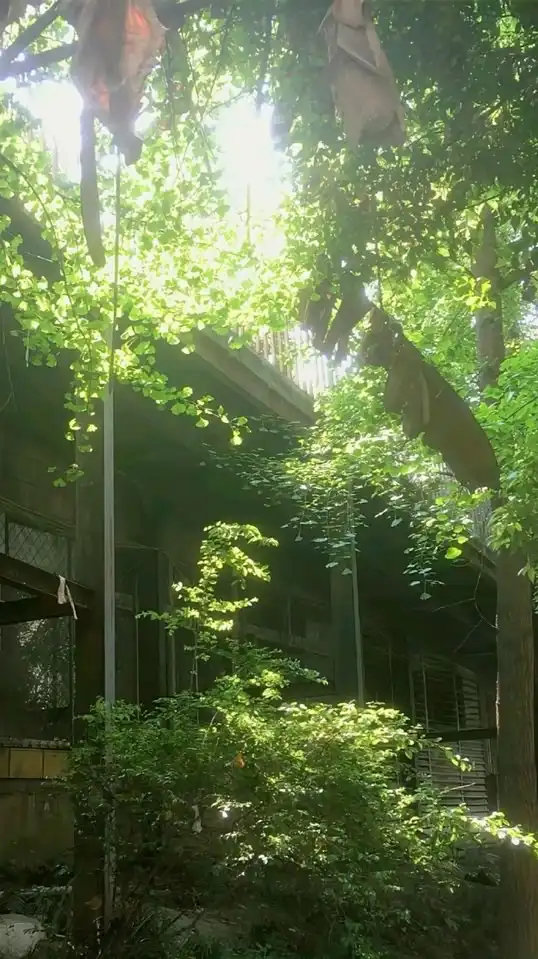 校舎裏で待ってます♡学パロ全緩也