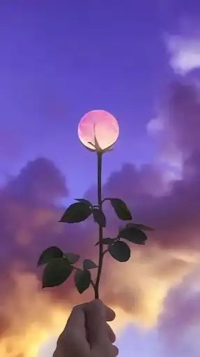 ️🫧大人の恋バナ雑談🌙*·̩͙その先へ💫⟡.·30代40代50代𓏸𓈒𓂃🫧
