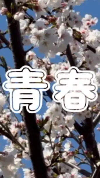彼氏彼女欲しい高校生集まれ！！恋愛相談