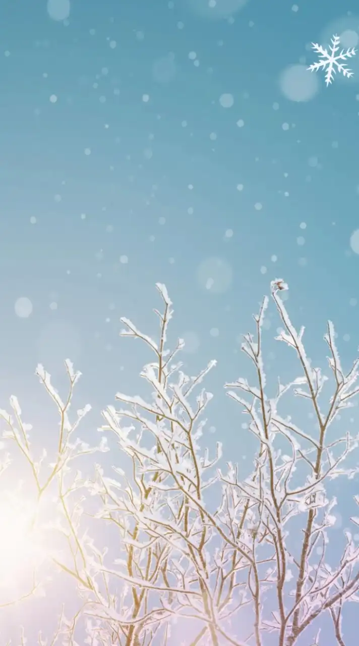 雪景色🧊連絡用