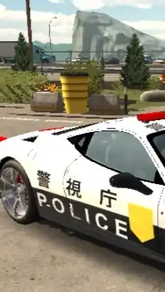 カーパーキング警察車両
