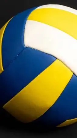 バレーボールレジェンズ　ロブロ