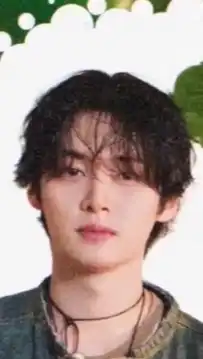 スキズ 【リノ🐰専用】当落＆波報告 シリアル Stray Kids