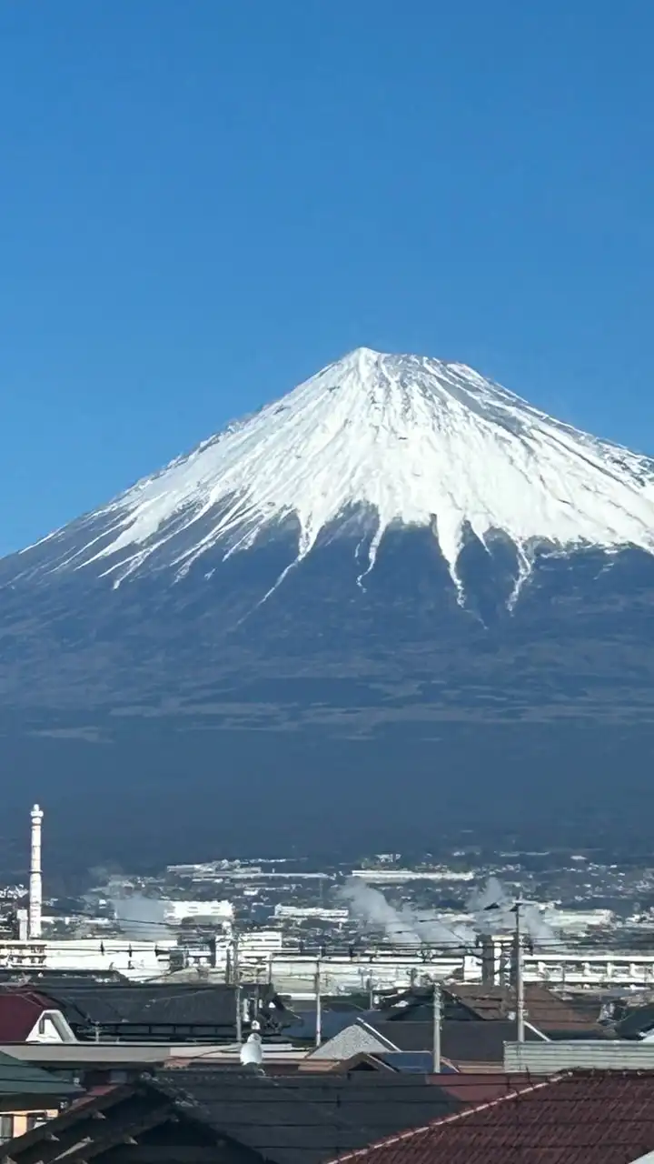 全国インターハイ2025広島大阪チーム