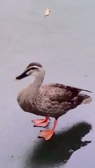 プロスピたいかい