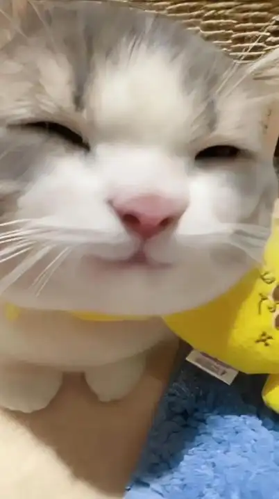 激緩緩な全也‼️