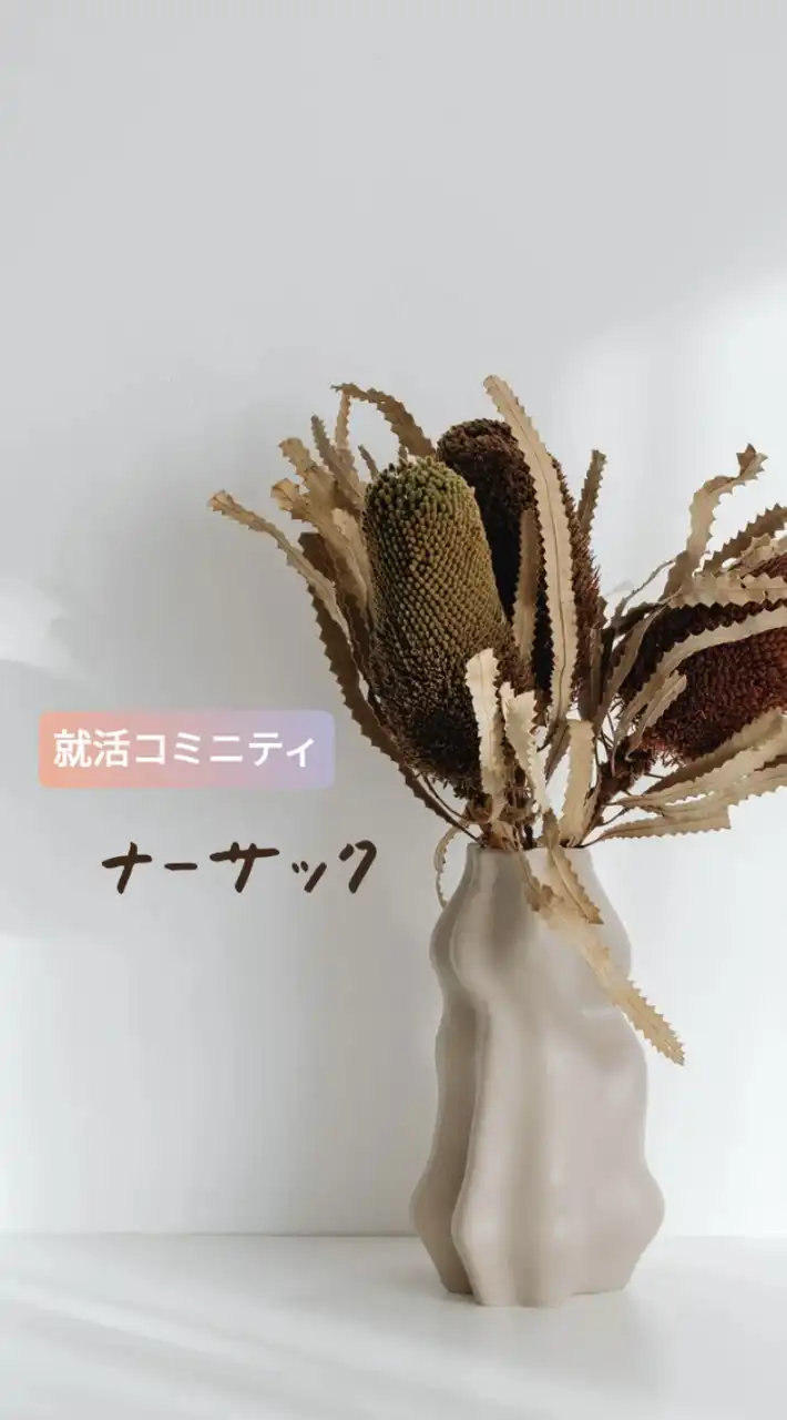 就活コミニティ　ナーサックの家