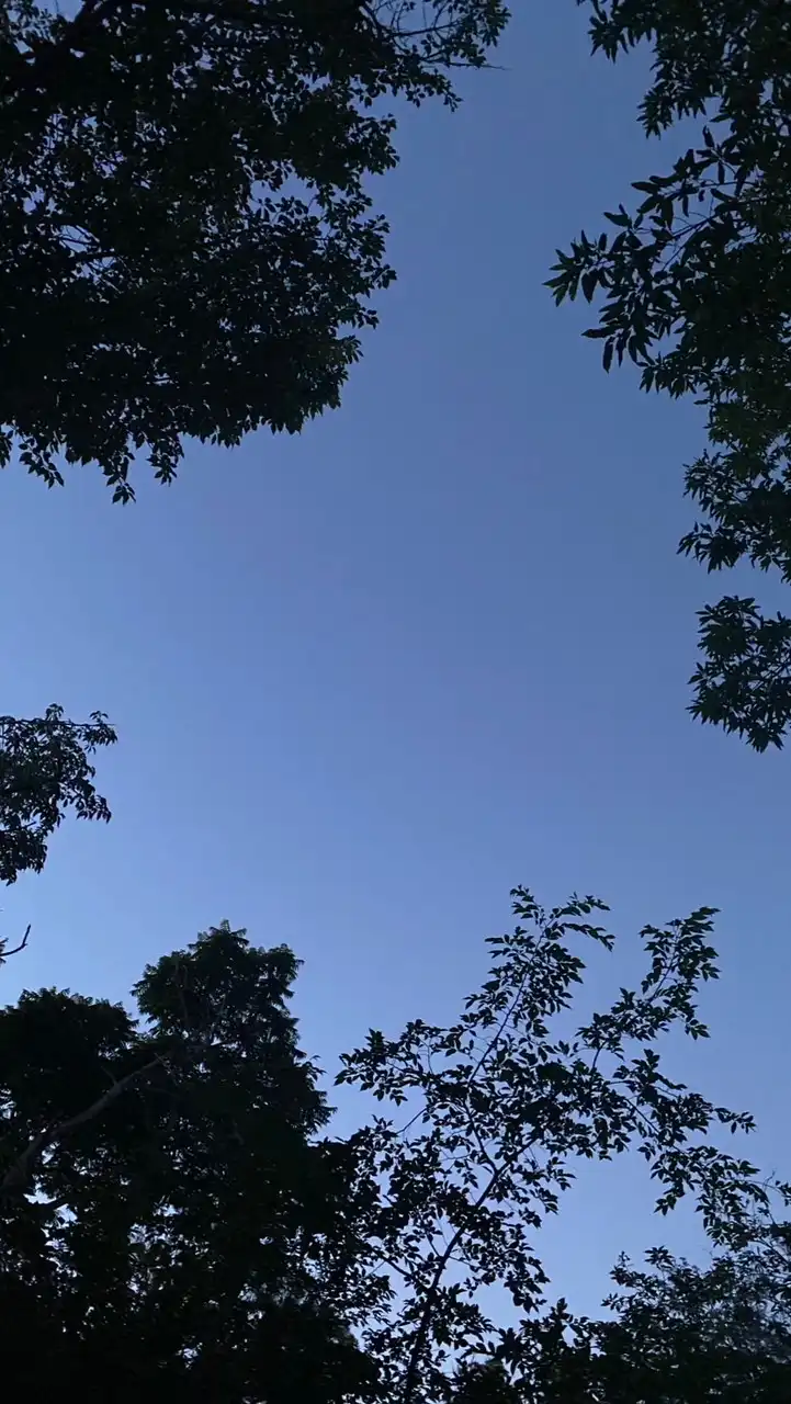 全緩ハント也‼️