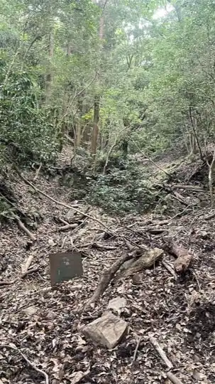 カワサキボランティアネットワーク　神戸登山道維持活動
