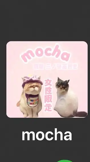 猫カフェmocha姫路店三ノ宮店好きさん繋がりましょ♥️女性限定
