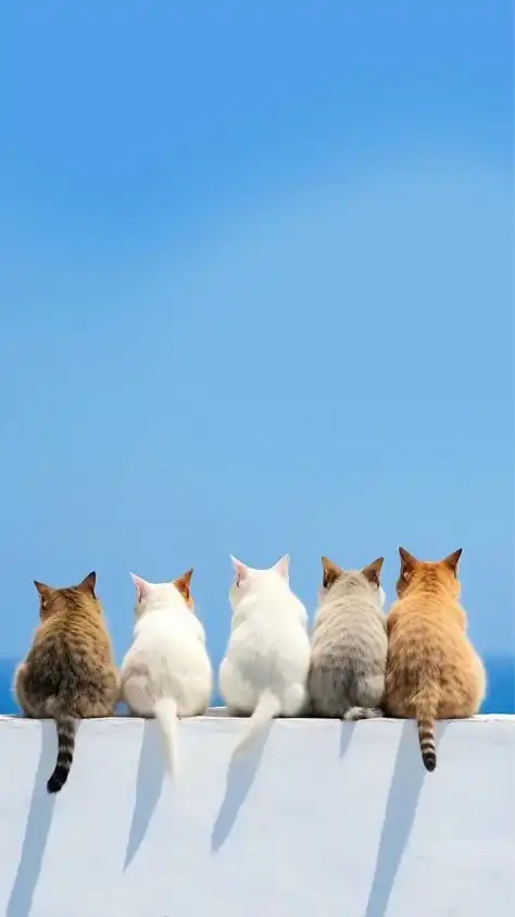 🌈30代から❣️ヒマな大人の雑談＆恋バナ🫶
