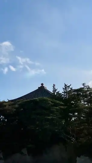 中高大生限定（大人も専門学生もok）