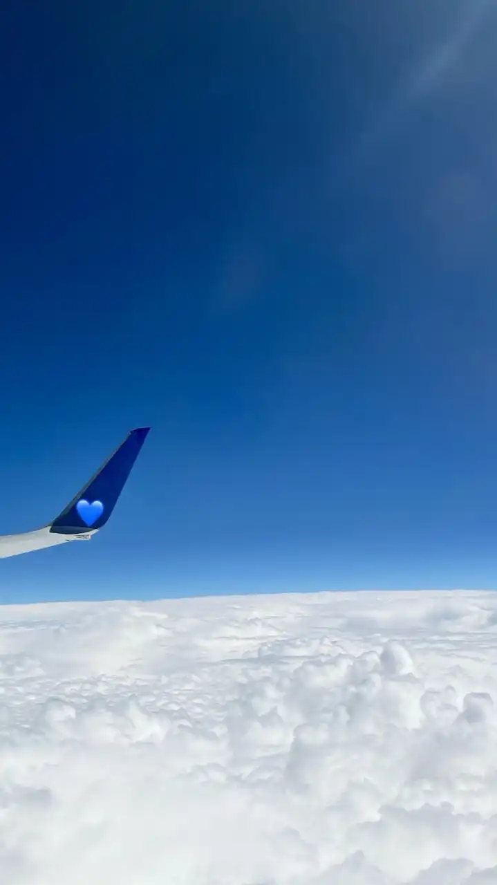 ヤシ呑みジュース