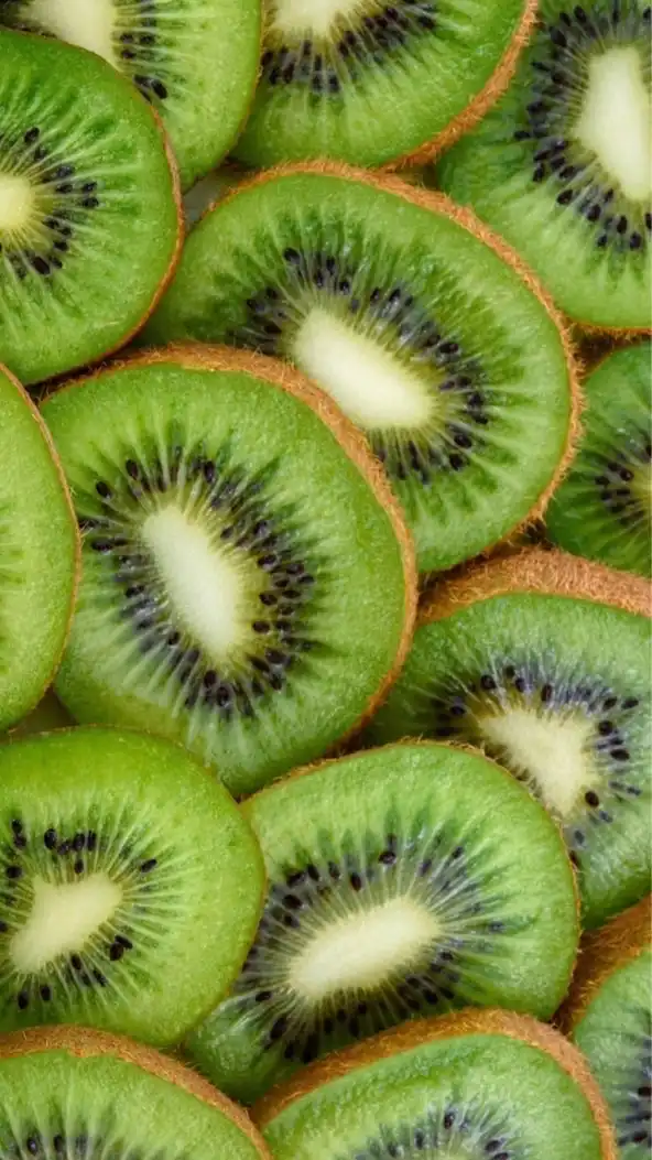 🥝北陸地方🥝地域交流🥝30代40代50代🥝楽しい雑談🥝ライブトーク🥝