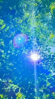 メンタル🍀心の安定
