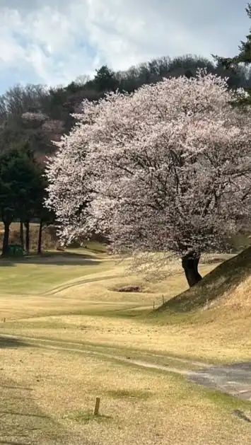 ワイワイYYゴルフ　"兵庫"