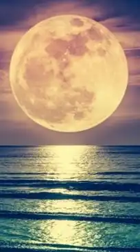 🌕満月のフォーチュン🌙*·̩͙                  50代.60代雑談𝐫𝐨𝐨𝐦恋バナも🤔？