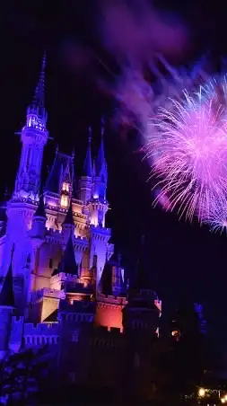 Dオタ集合🐭🏰
