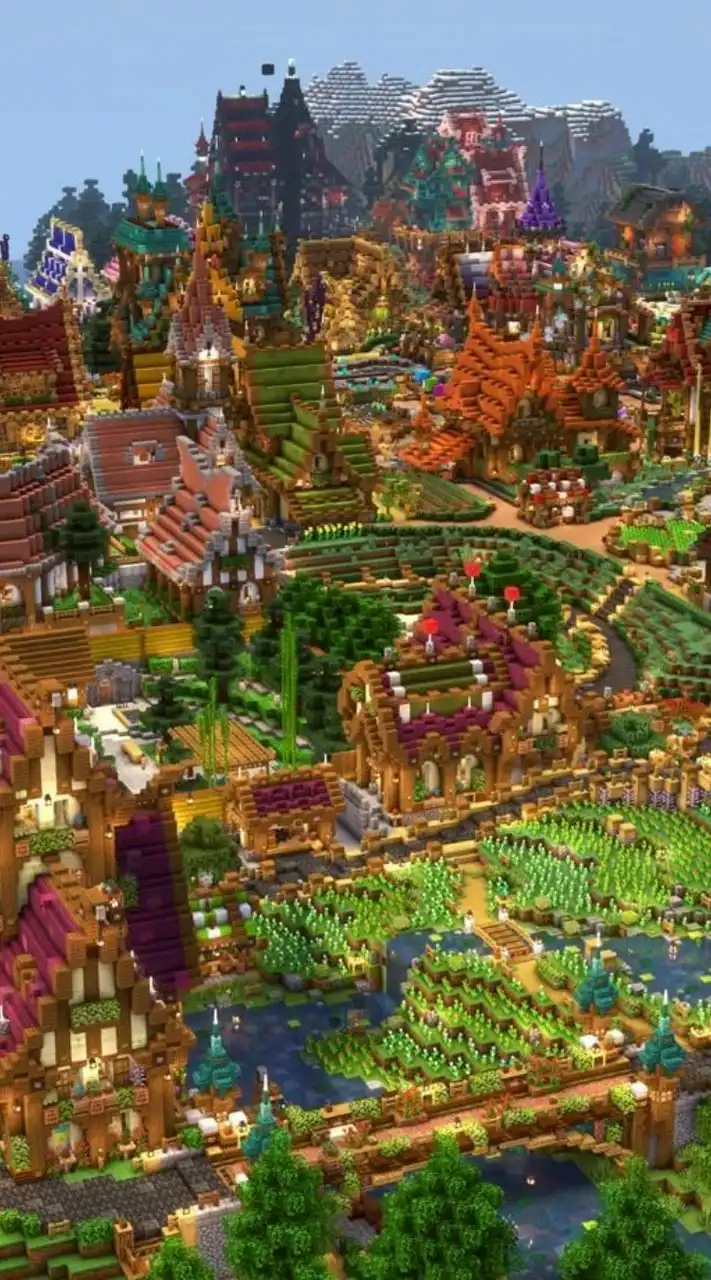 マイクラ建国戦争鯖【めだか鯖】