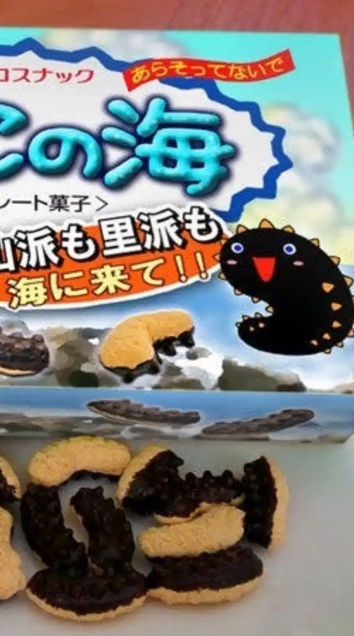 ナマコ王国  雑談OK