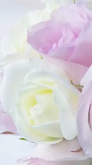 ソラdeビューティー💗
