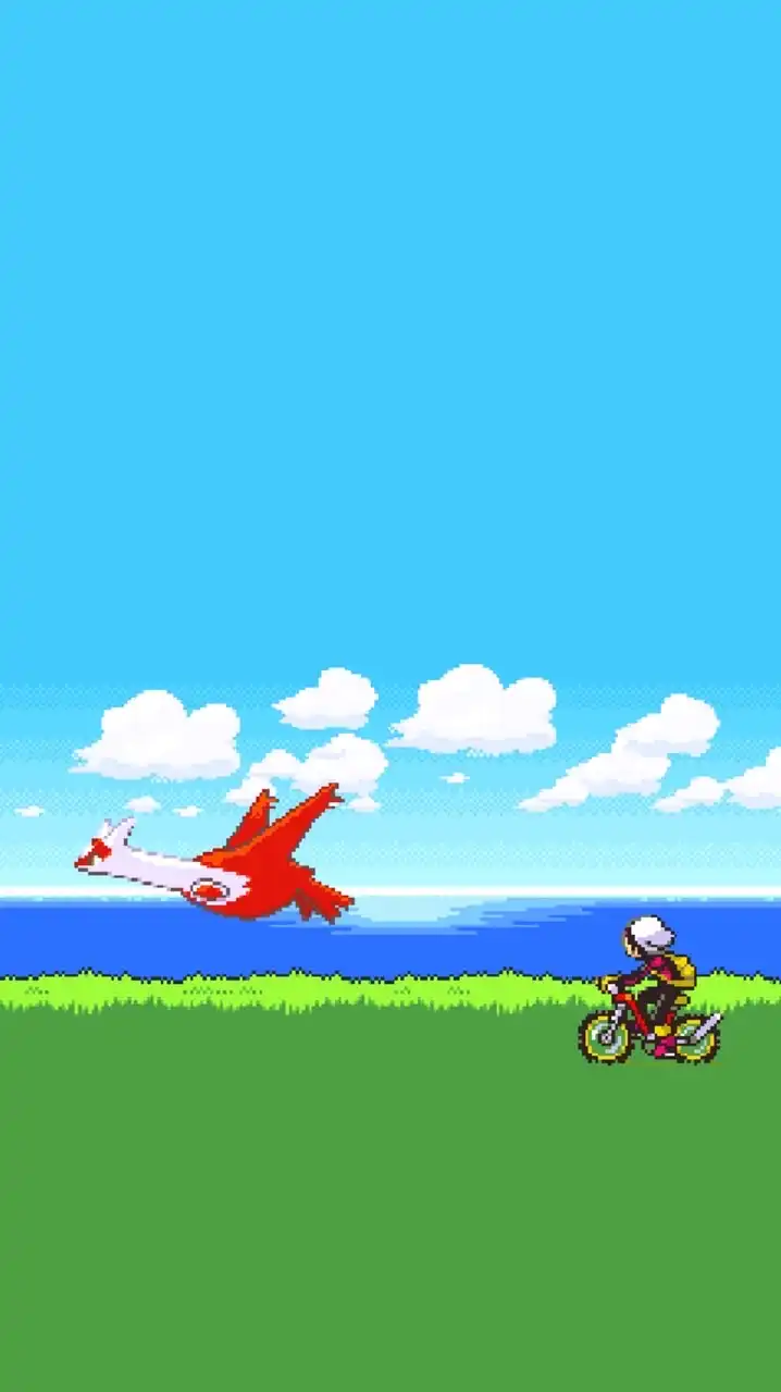 ポケポケ大会部屋