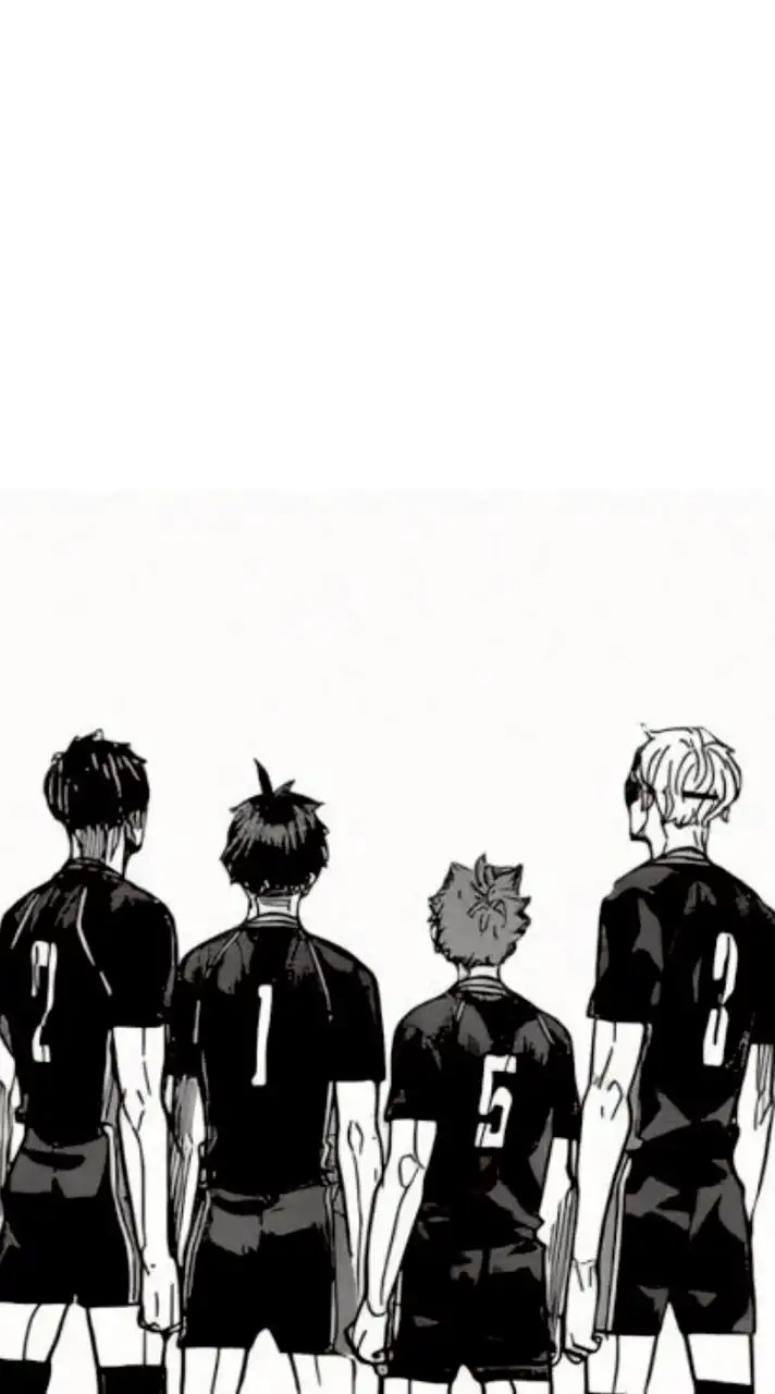 ハイキュー！併せ兼球技大会用