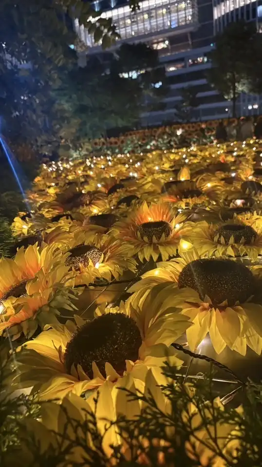 ⋆⸜🌻⸝‍⋆40代からの雑談部屋⋆⸜🌻⸝‍⋆