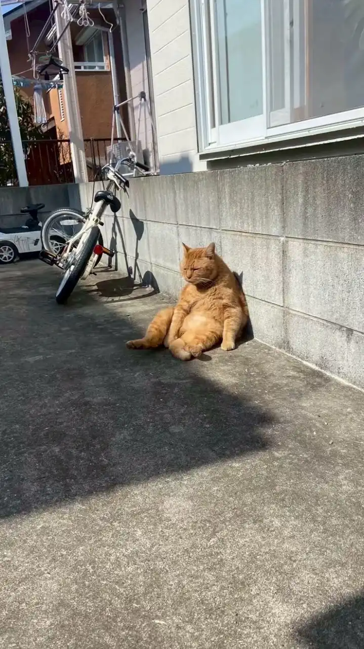 不登校・通信いつめん募集