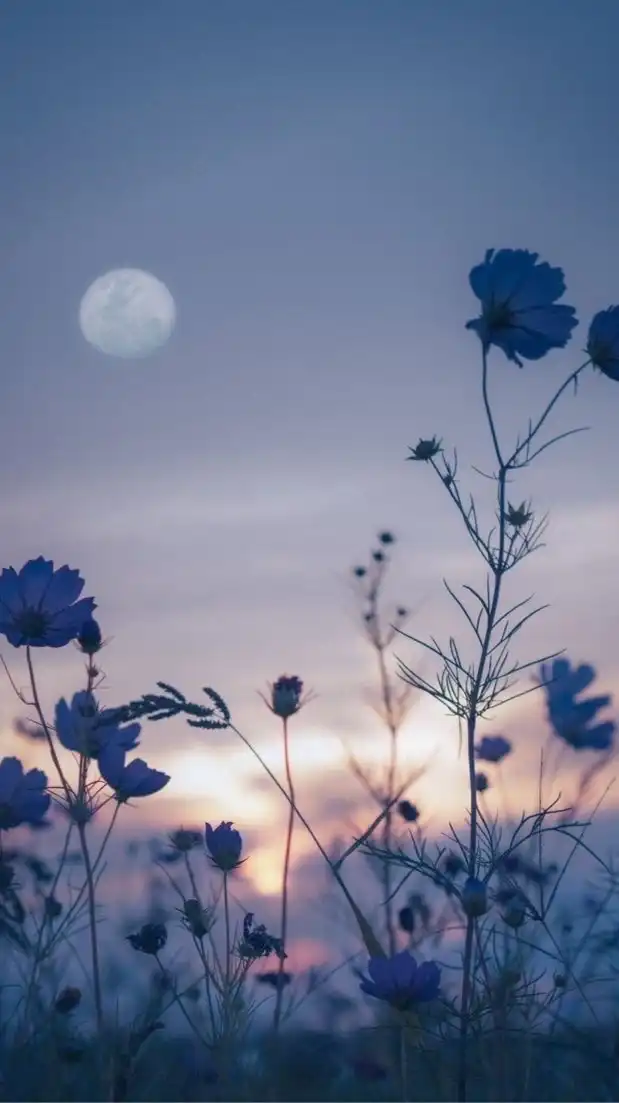 ~夕蝉本丸~ 緩也