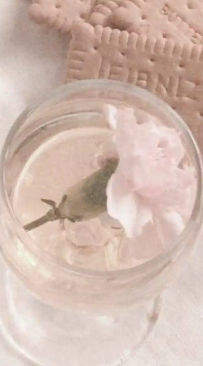 毎日一緒にダイエット🎀‎🤍