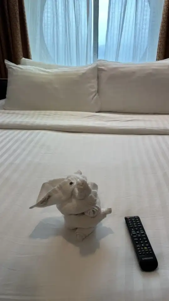 子連れクルーズ情報交換